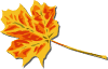 1194984720884646590fall_coloured_leaf_geral_01.svg.thumb