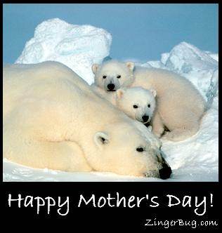 mothers_day_polar_bears